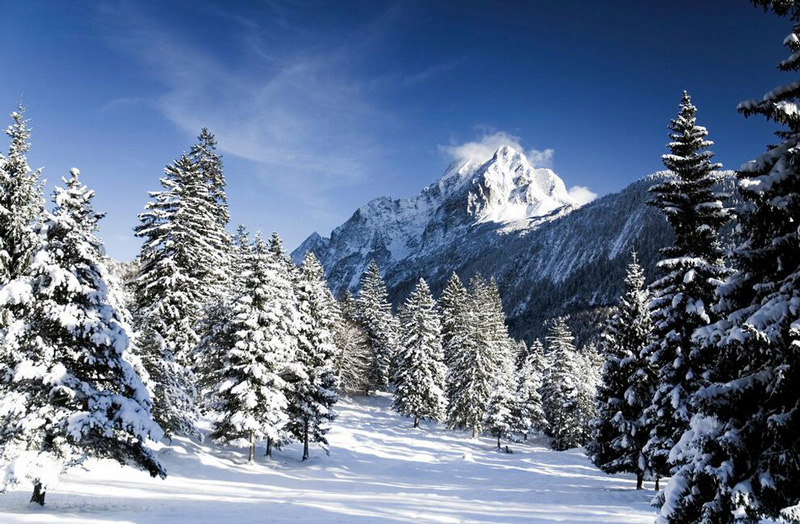 在雪松地區(qū)發(fā)生嚴重火災 消防應急燈應該如何使用
