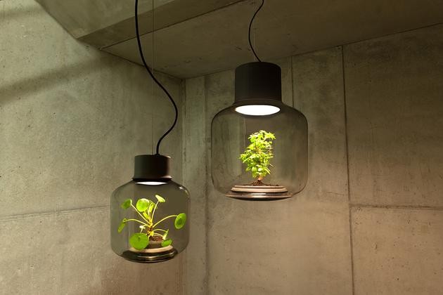 將植物放在一款密閉的LED燈具中能持續(xù)生長嗎？